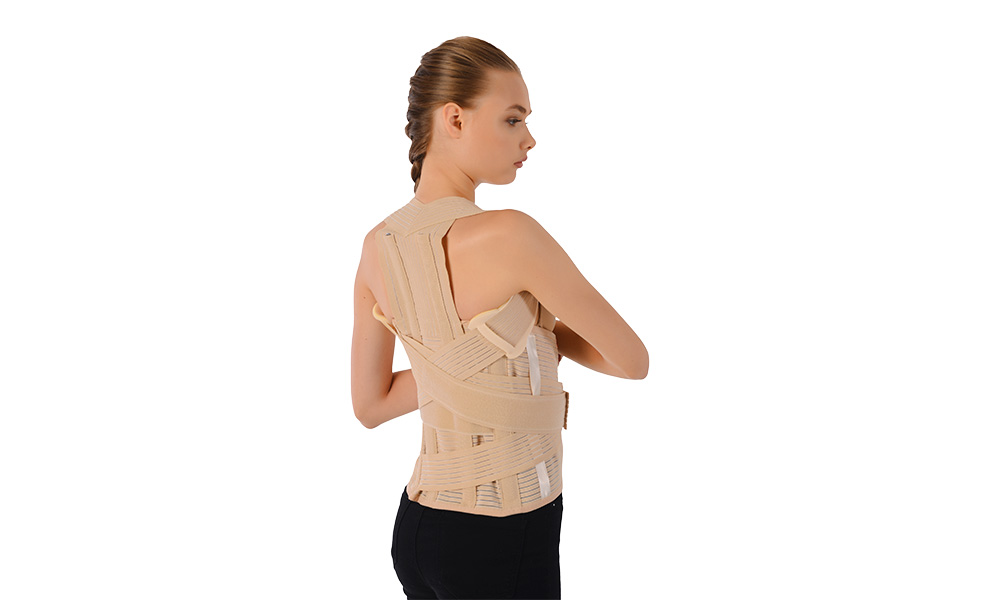 CCMed Dorsolomber Korse